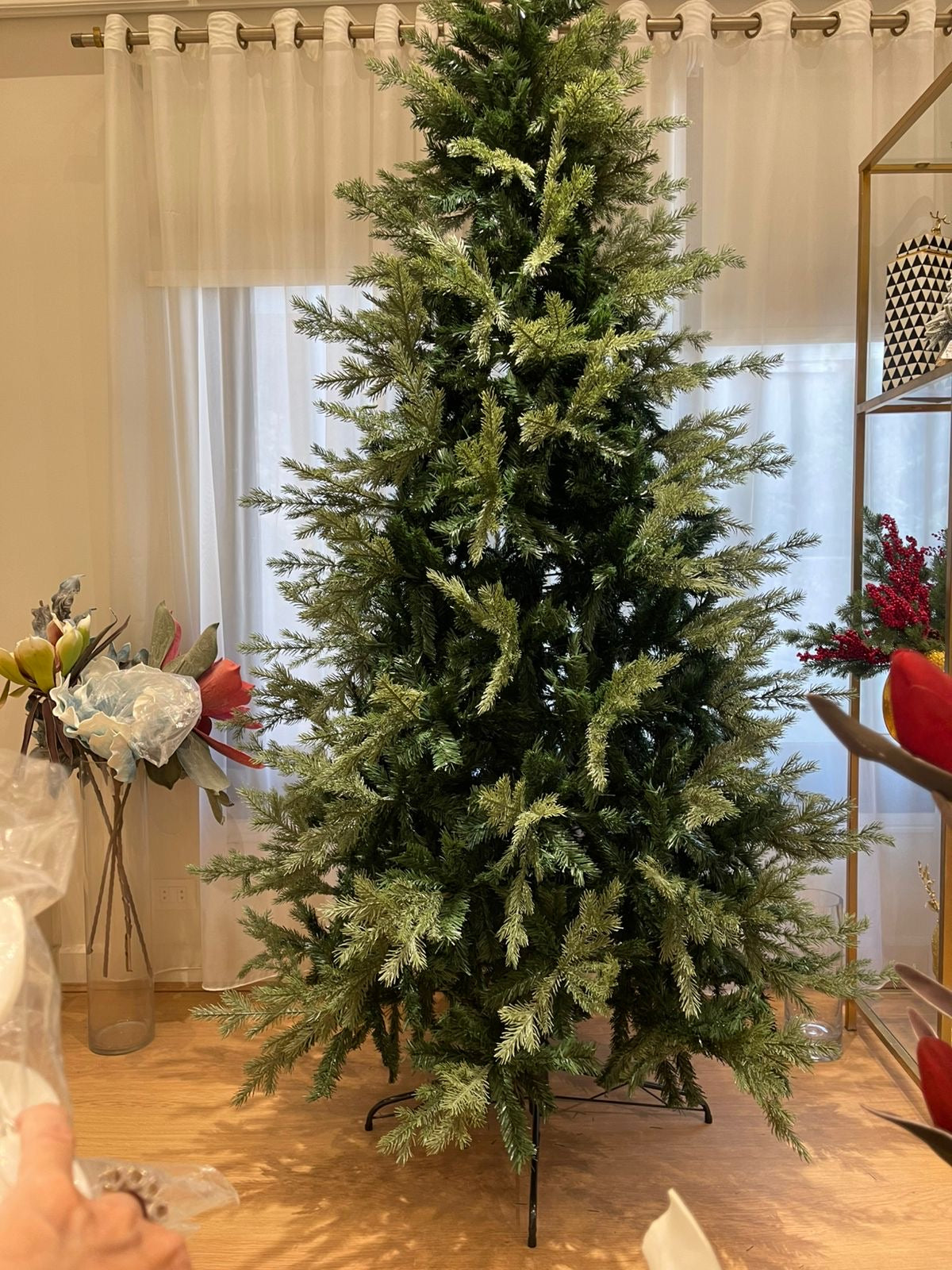Lebanese Fir