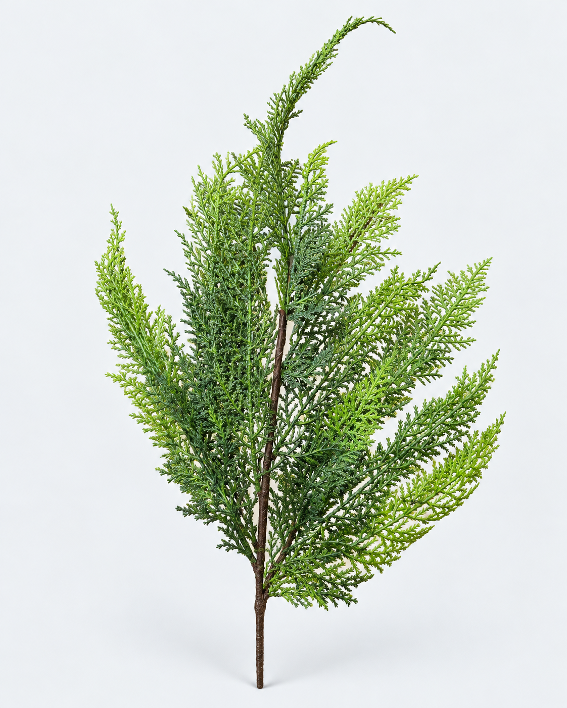 Fresh Green Cypress Spray