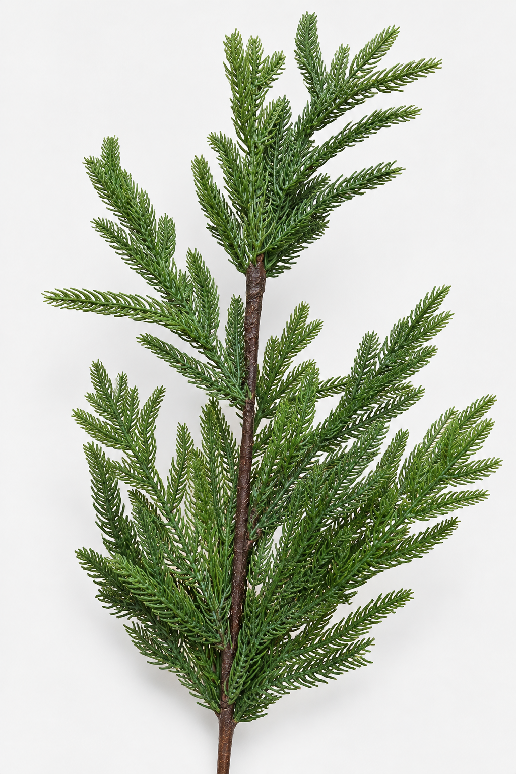 Classic Evergreen Spray